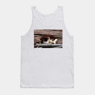 Matschie’s Tree Kangaroo Tank Top